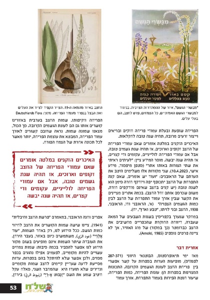 קובץ:Ale 13.pdf