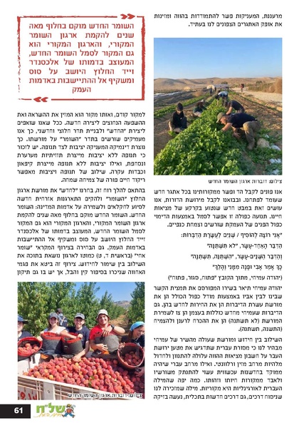 קובץ:Ale 13.pdf