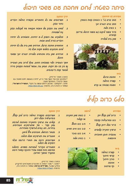 קובץ:Ale 13.pdf