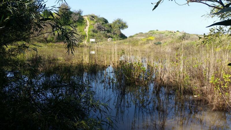 קובץ:Tel michal galia limor2.jpg