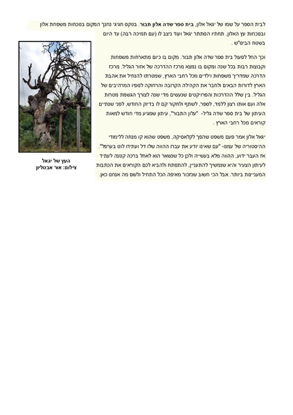 קובץ:Alon(1).pdf