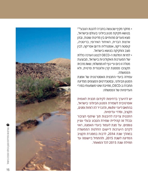 קובץ:Report.pdf