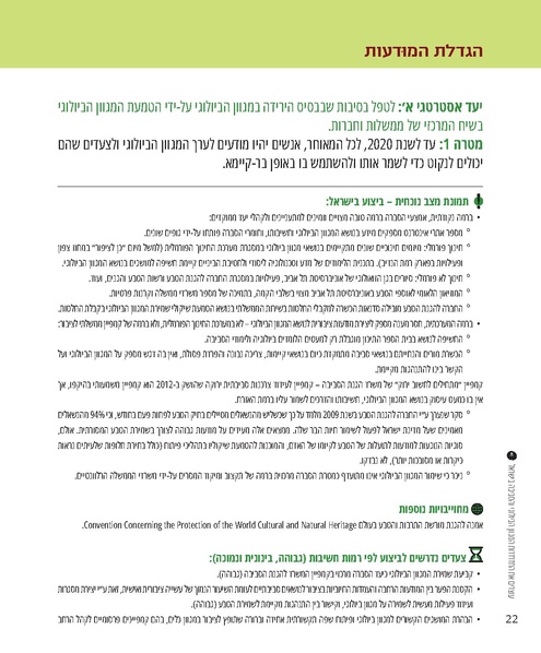 קובץ:Report.pdf
