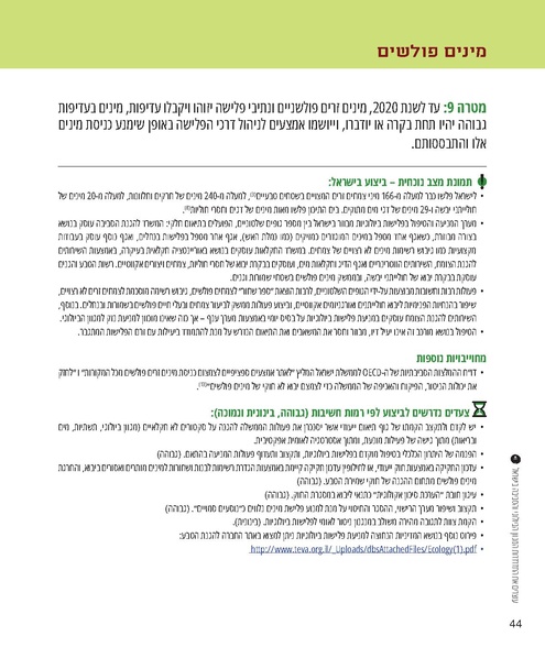 קובץ:Report.pdf