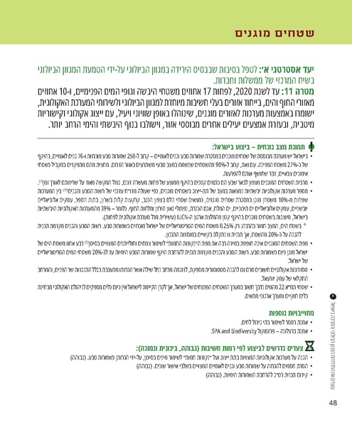 קובץ:Report.pdf