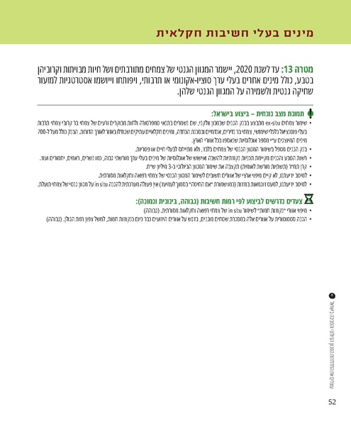 קובץ:Report.pdf