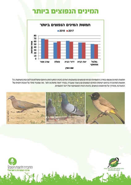 קובץ:Birdcount2017.pdf