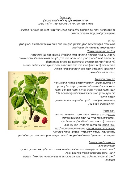 קובץ:Duv.pdf