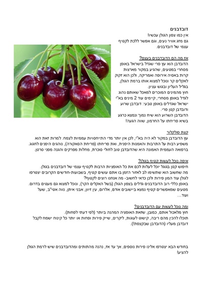 קובץ:Duv.pdf