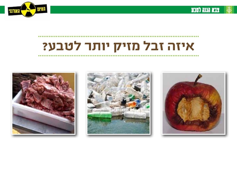קובץ:Organi.pdf