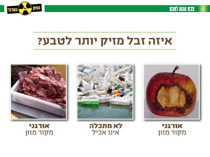 קובץ:Organi.pdf