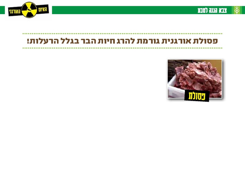 קובץ:Organi.pdf