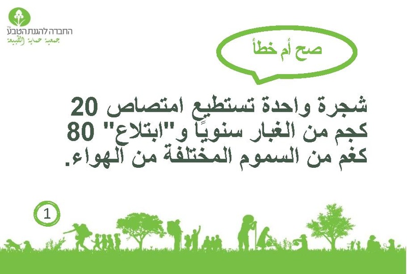 קובץ:صح أم خطأ عن الأشجار.pdf