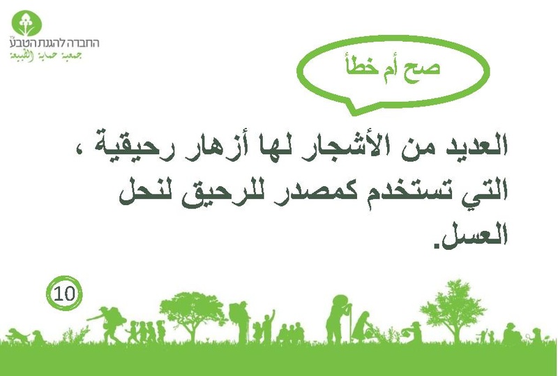 קובץ:صح أم خطأ عن الأشجار.pdf