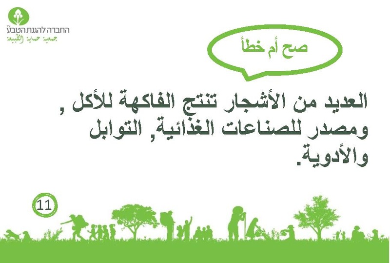 קובץ:صح أم خطأ عن الأشجار.pdf