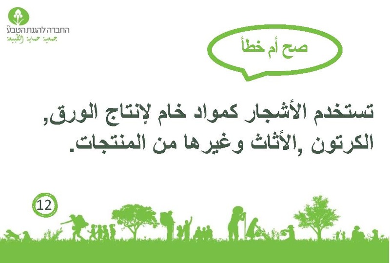 קובץ:صح أم خطأ عن الأشجار.pdf