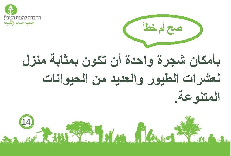 קובץ:صح أم خطأ عن الأشجار.pdf