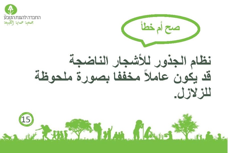 קובץ:صح أم خطأ عن الأشجار.pdf