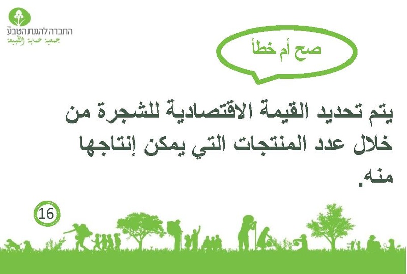 קובץ:صح أم خطأ عن الأشجار.pdf