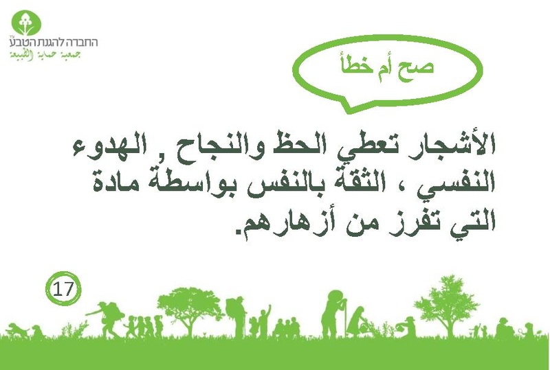 קובץ:صح أم خطأ عن الأشجار.pdf