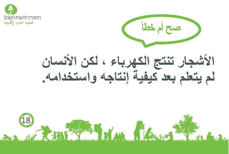 קובץ:صح أم خطأ عن الأشجار.pdf