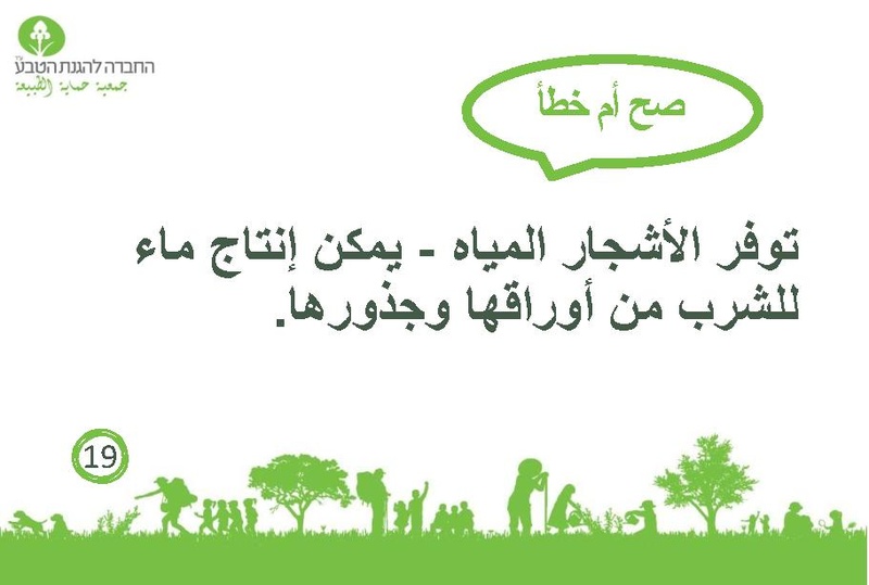 קובץ:صح أم خطأ عن الأشجار.pdf