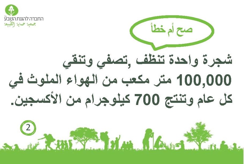 קובץ:صح أم خطأ عن الأشجار.pdf