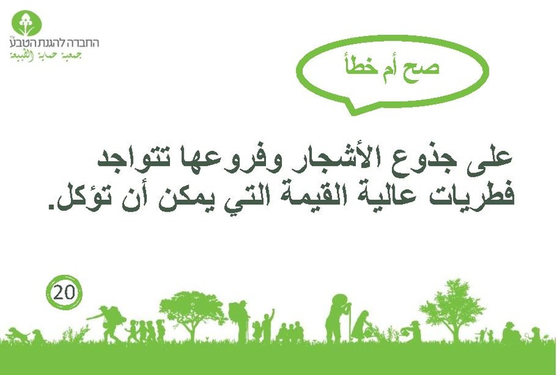 קובץ:صح أم خطأ عن الأشجار.pdf