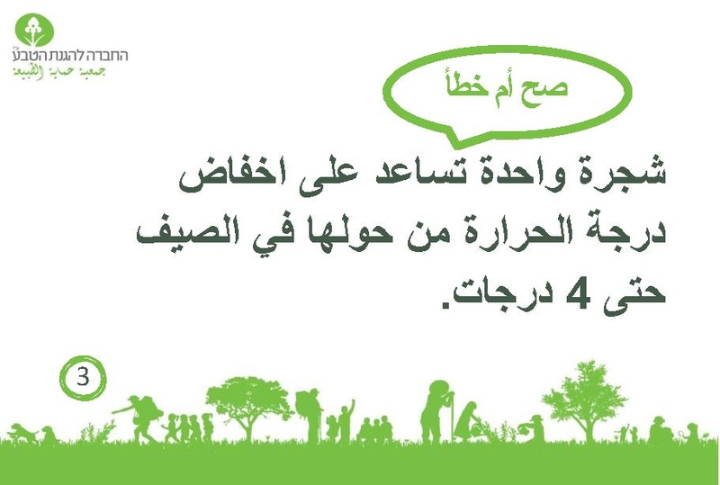 קובץ:صح أم خطأ عن الأشجار.pdf