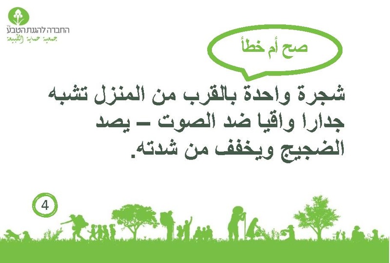 קובץ:صح أم خطأ عن الأشجار.pdf