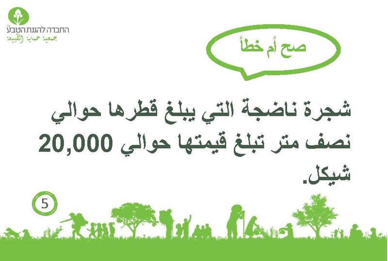 קובץ:صح أم خطأ عن الأشجار.pdf