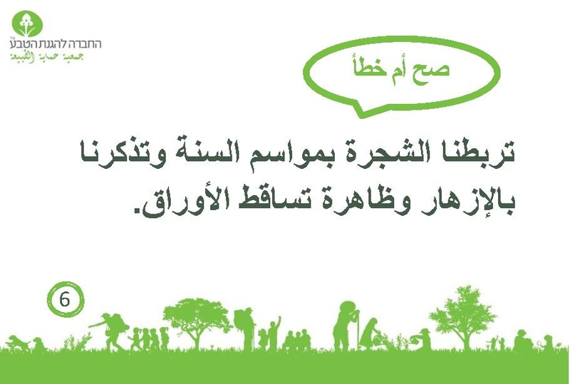 קובץ:صح أم خطأ عن الأشجار.pdf