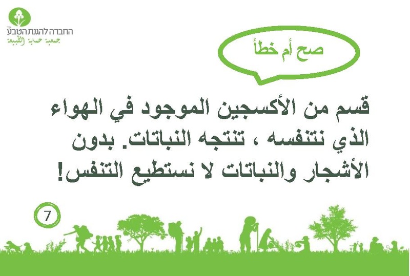 קובץ:صح أم خطأ عن الأشجار.pdf