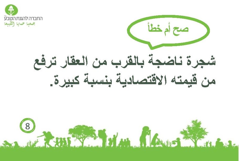 קובץ:صح أم خطأ عن الأشجار.pdf