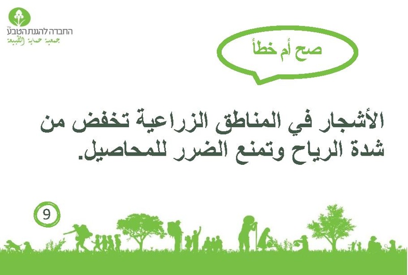 קובץ:صح أم خطأ عن الأشجار.pdf