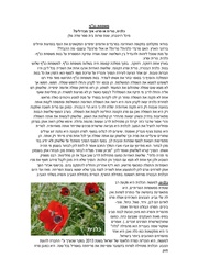 → לדף הקודם