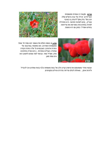 קובץ:Kanaf(1).pdf