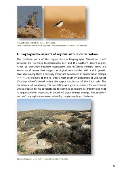 קובץ:Forestration northern NegevSPNI Eng finalMay2014.pdf