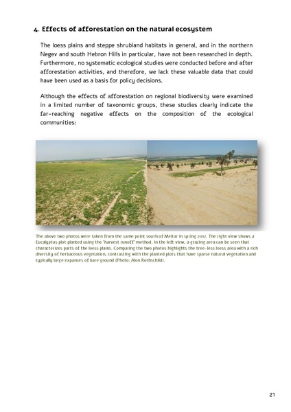 קובץ:Forestration northern NegevSPNI Eng finalMay2014.pdf