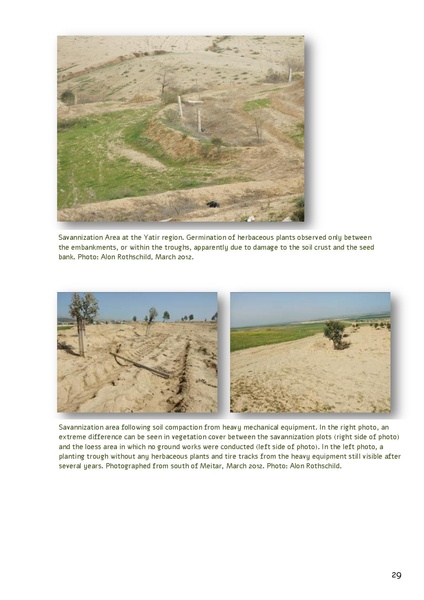 קובץ:Forestration northern NegevSPNI Eng finalMay2014.pdf