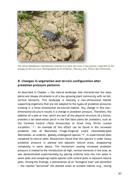 קובץ:Forestration northern NegevSPNI Eng finalMay2014.pdf