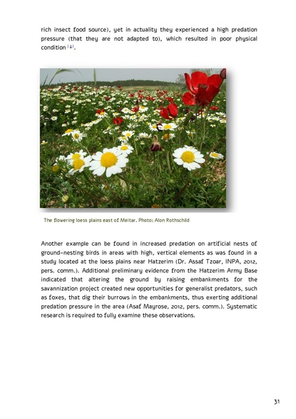 קובץ:Forestration northern NegevSPNI Eng finalMay2014.pdf