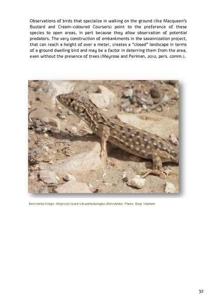 קובץ:Forestration northern NegevSPNI Eng finalMay2014.pdf