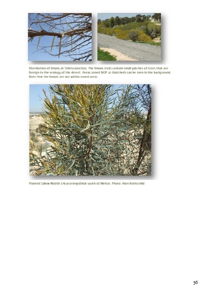 קובץ:Forestration northern NegevSPNI Eng finalMay2014.pdf