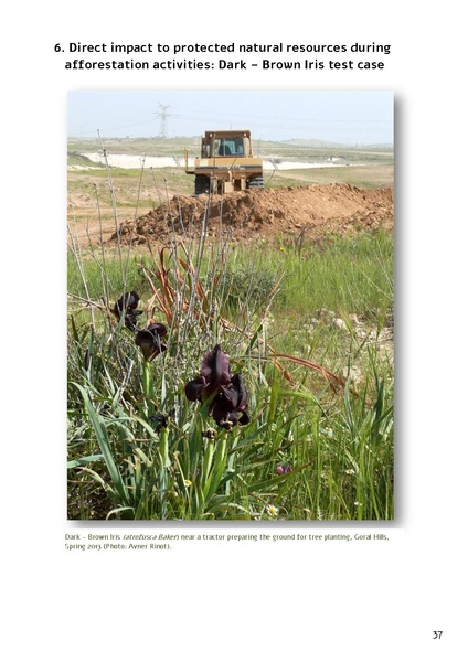 קובץ:Forestration northern NegevSPNI Eng finalMay2014.pdf