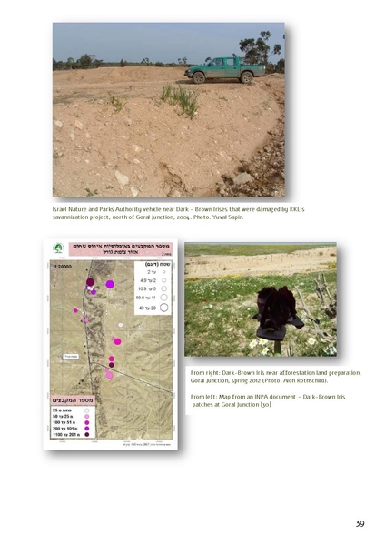 קובץ:Forestration northern NegevSPNI Eng finalMay2014.pdf