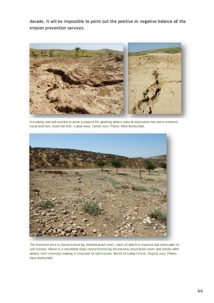 קובץ:Forestration northern NegevSPNI Eng finalMay2014.pdf