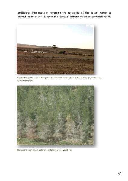 קובץ:Forestration northern NegevSPNI Eng finalMay2014.pdf