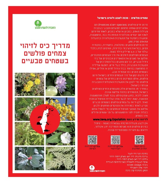 קובץ:Links.pdf
