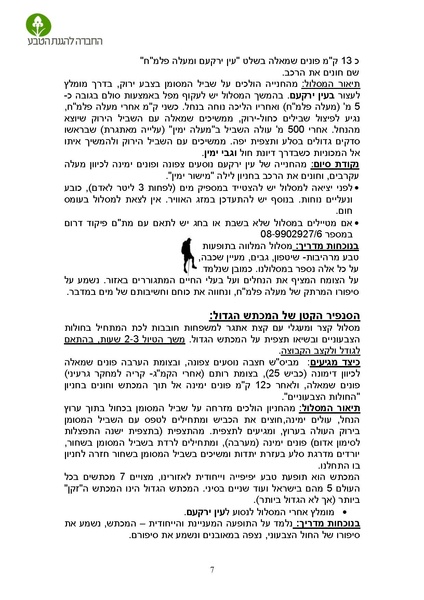 קובץ:Maslulim 2018.pdf